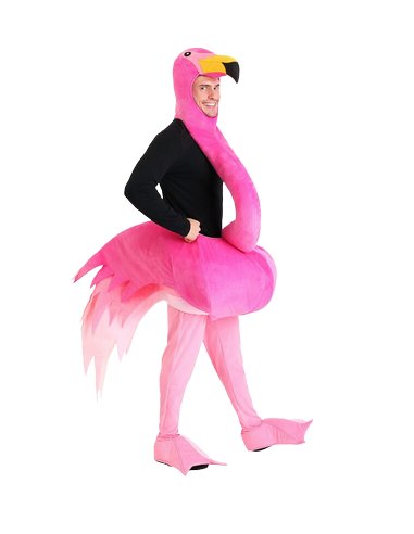 Costume Flamant Rose Homme sélection de produits