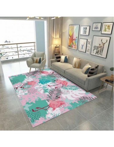 Tapis Flamant Rose Frontignan Découvrez la collection