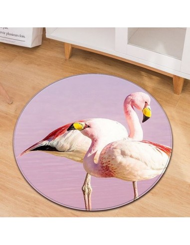 Tapis Rond Flamant Rose Camargue online