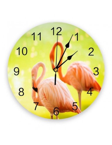 Horloge Flamant Rose Camargue offre 