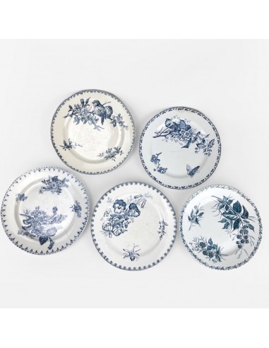 5 assiettes dépareillées Terre de fer 1900 Comparez plus de prix