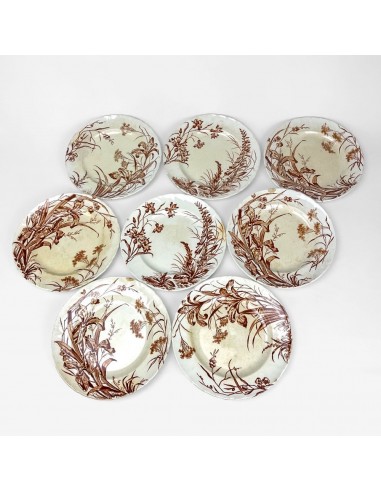 8 assiettes à dessert Terre de fer sépia modèle Flore Jules Vieillard Bordeaux XIXe outlet